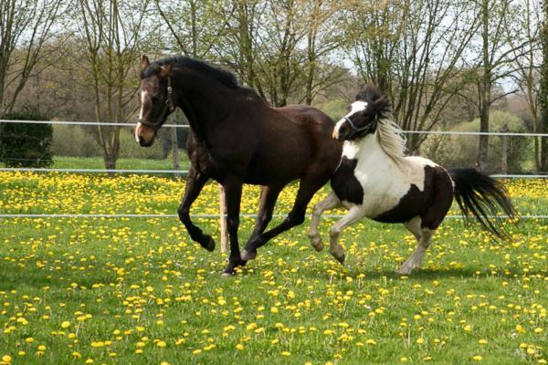Chambres D'Hotes Mauvierges Segre Luaran gambar